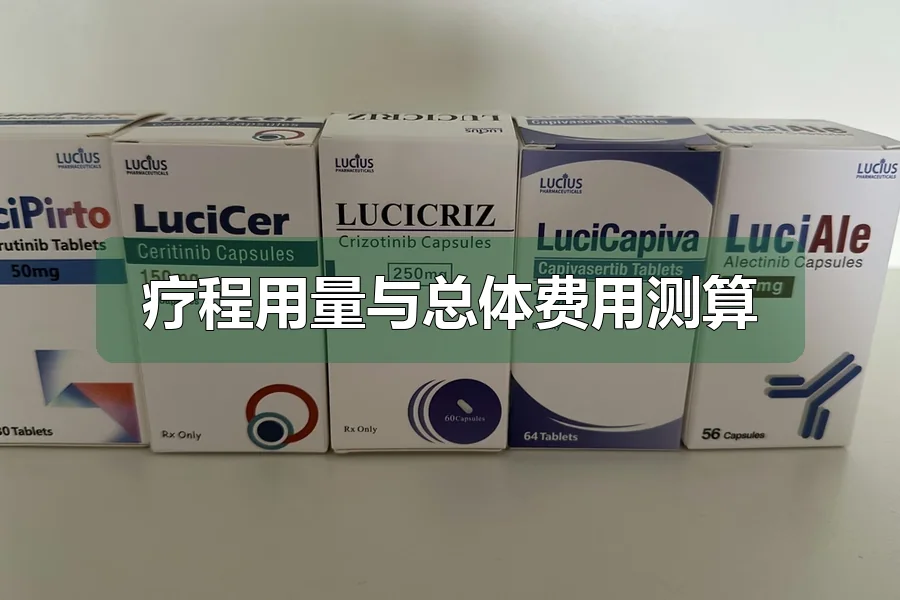 疗程用量与总体费用测算