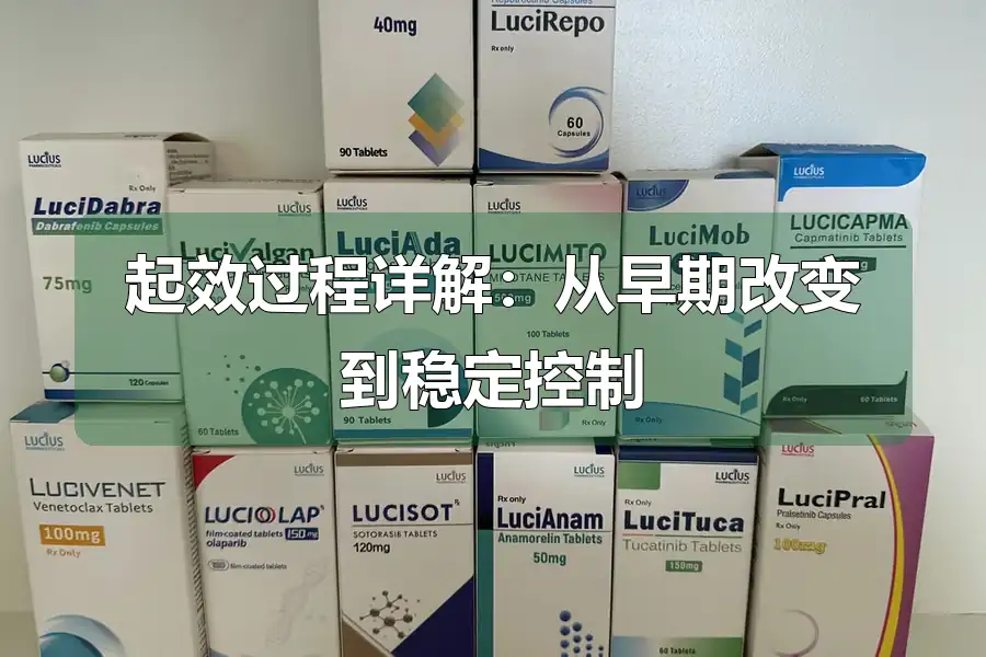 起效过程详解：从早期改变到稳定控制
